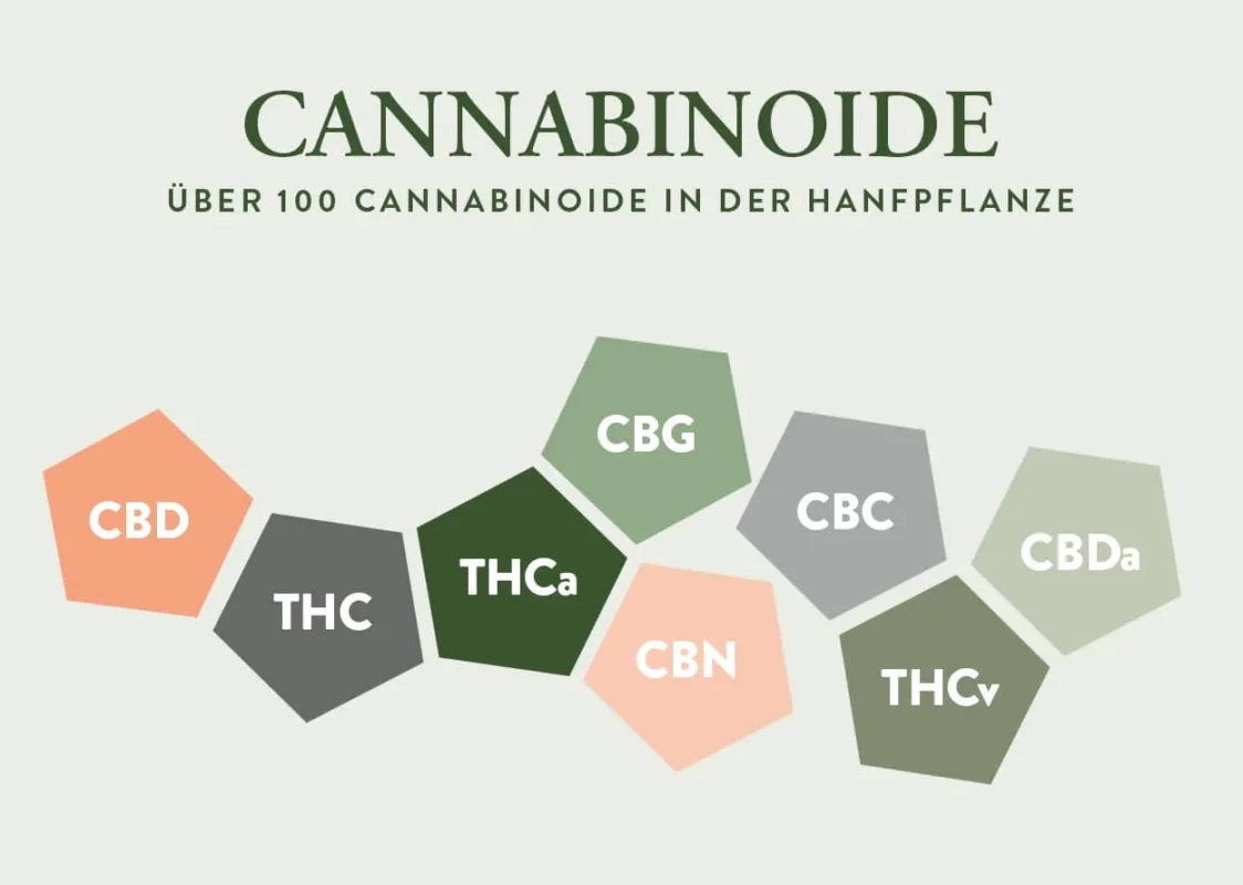 Cannabinoide Wirkung